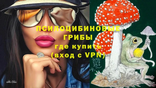 эйфоретик Арсеньев