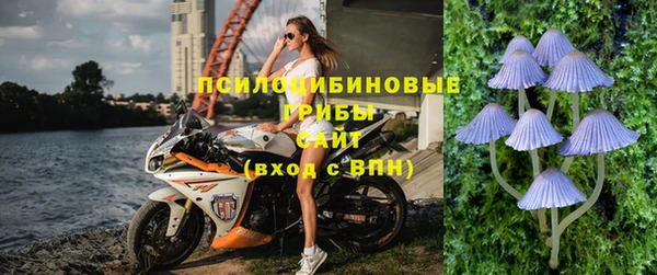 эйфоретик Арсеньев