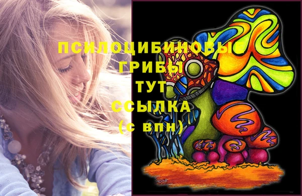 эйфоретик Арсеньев