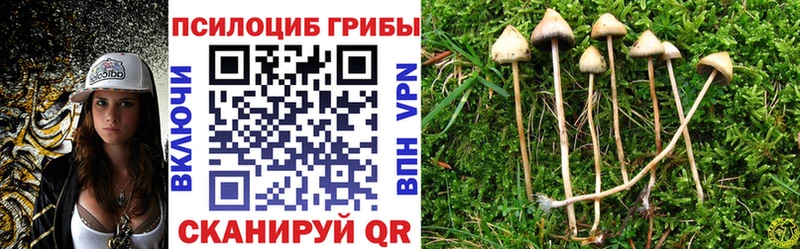 гидра сайт  дарк нет формула  Псилоцибиновые грибы Psilocybe  Нея 